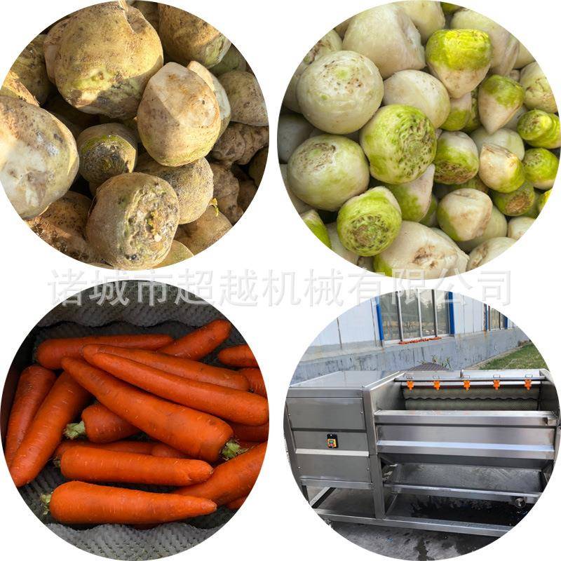304不锈钢土豆芋头红薯去皮机土豆去皮机果蔬加工设备新品推荐