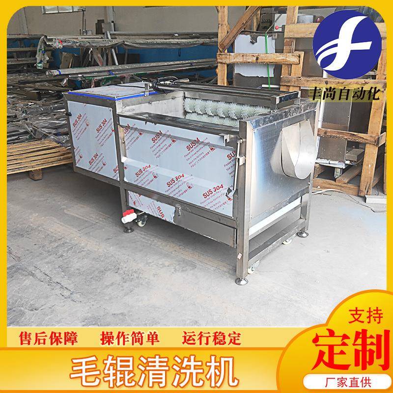 商用不锈钢毛辊清洗机设备西红柿去皮清洗机大枣红枣清洗机