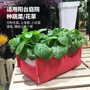 bloombagz阳台蔬菜生长袋 种菜神器家庭长方形花盆植物种植箱特卖