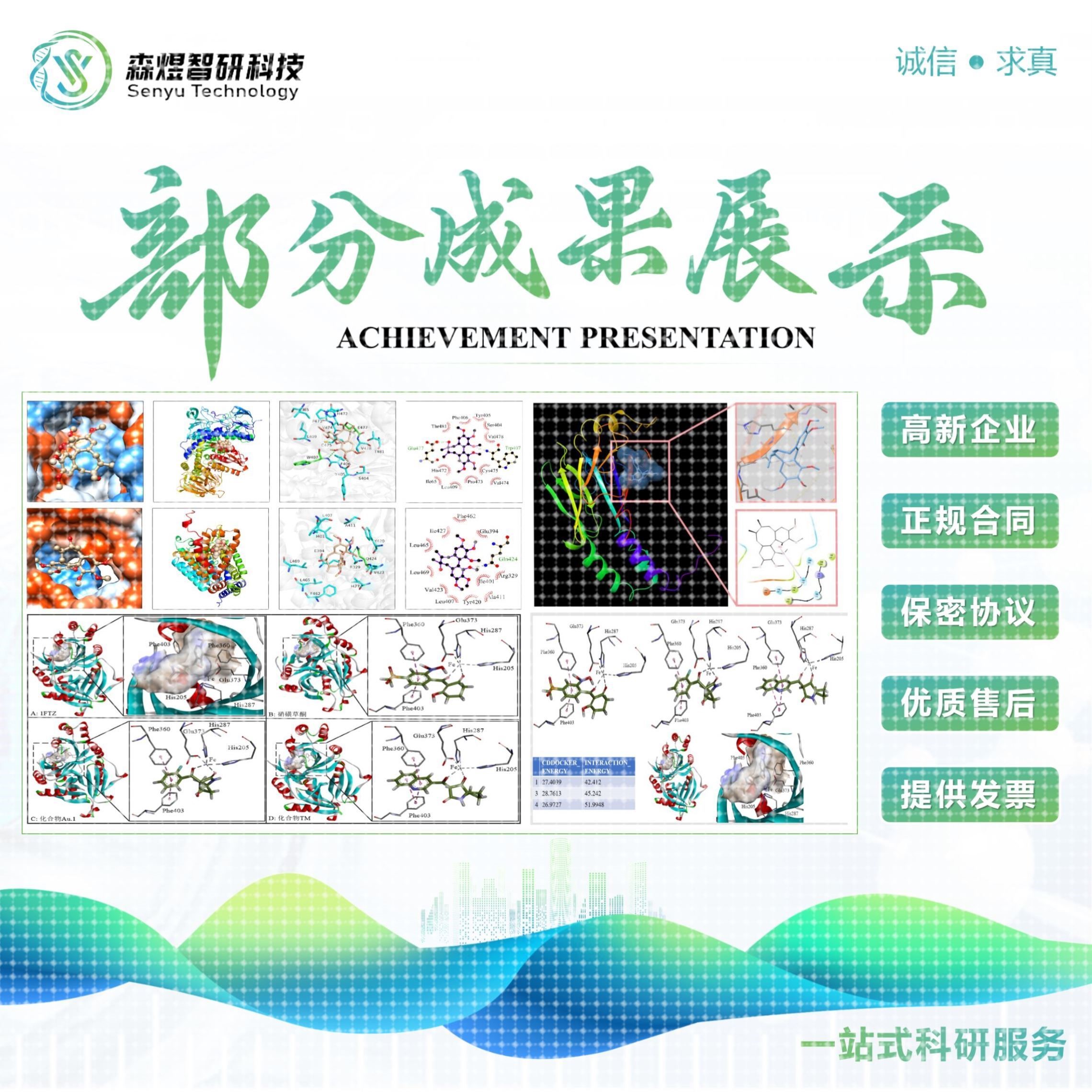 SCi级别 蛋白小分子对接