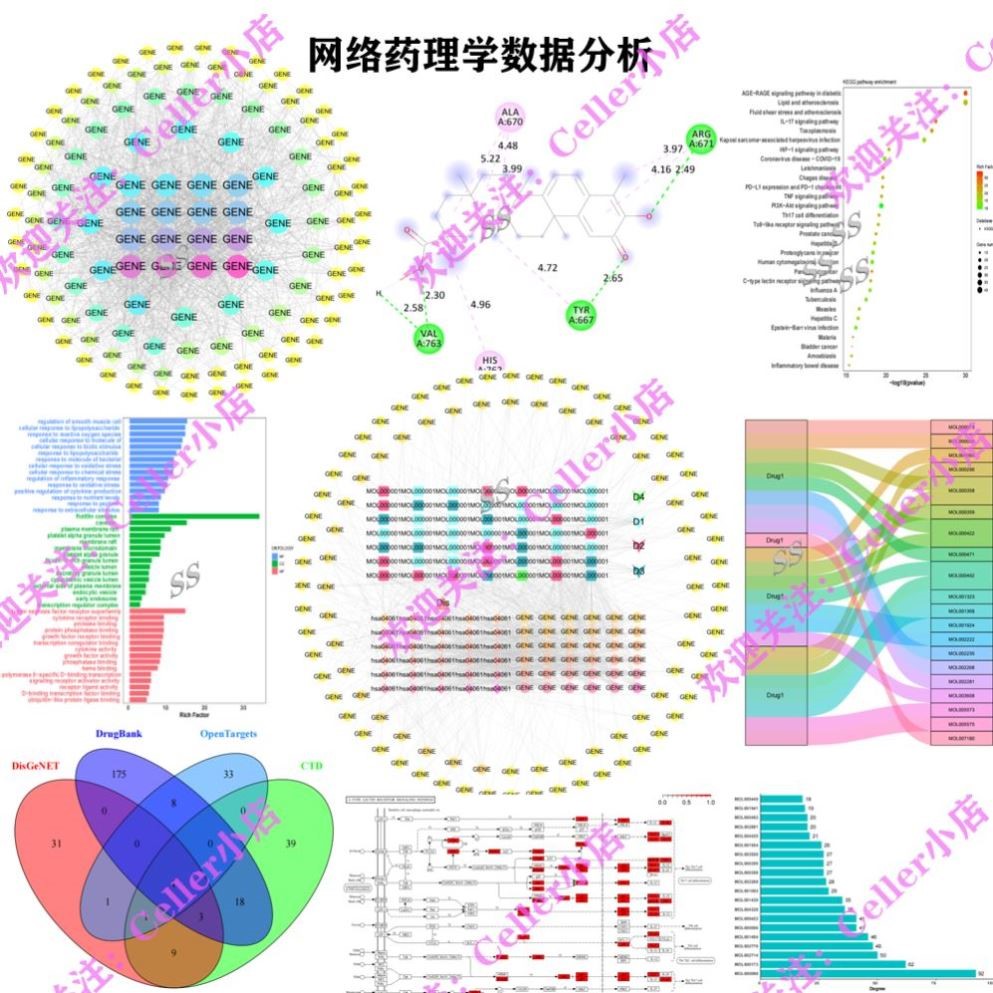 孟德尔随机化中介肠道菌群炎症因子代谢物联合TCGA单细胞 核心SCI