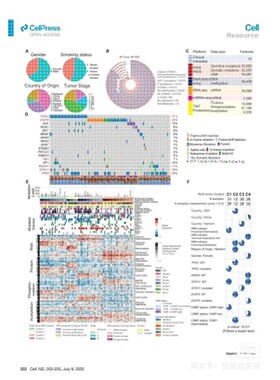 生信作图scif科研生物信息分析做图绘图制图火山气泡聚类热单组图