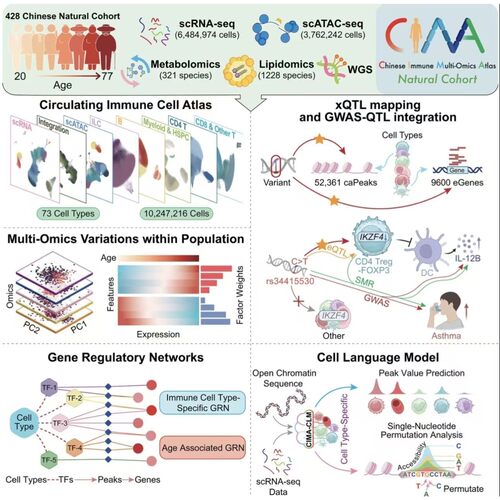 生信mRNA miRNA lncRNA相关性散点共表达