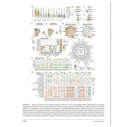 TCGA 数据库 mRNA miRNA lncRNA 差异表达生存分析数据挖掘服务