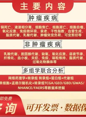 DFT计算/第一性原理计算/高斯/VASP/MS/DFT理论计算/模拟计算代算