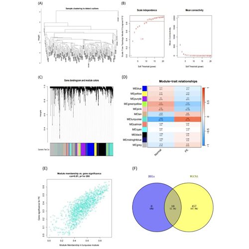 lncRNA miRNA mRNA共表达分析相关性散点图调控网络构建
