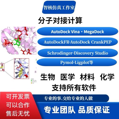 代算分子对接 小分子-蛋白-蛋白DNA/RNA-蛋白共价刚柔性分子代算