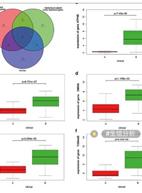 生信分析服务医学定制单细胞分析测序转录组挖掘tcga/geo数据库