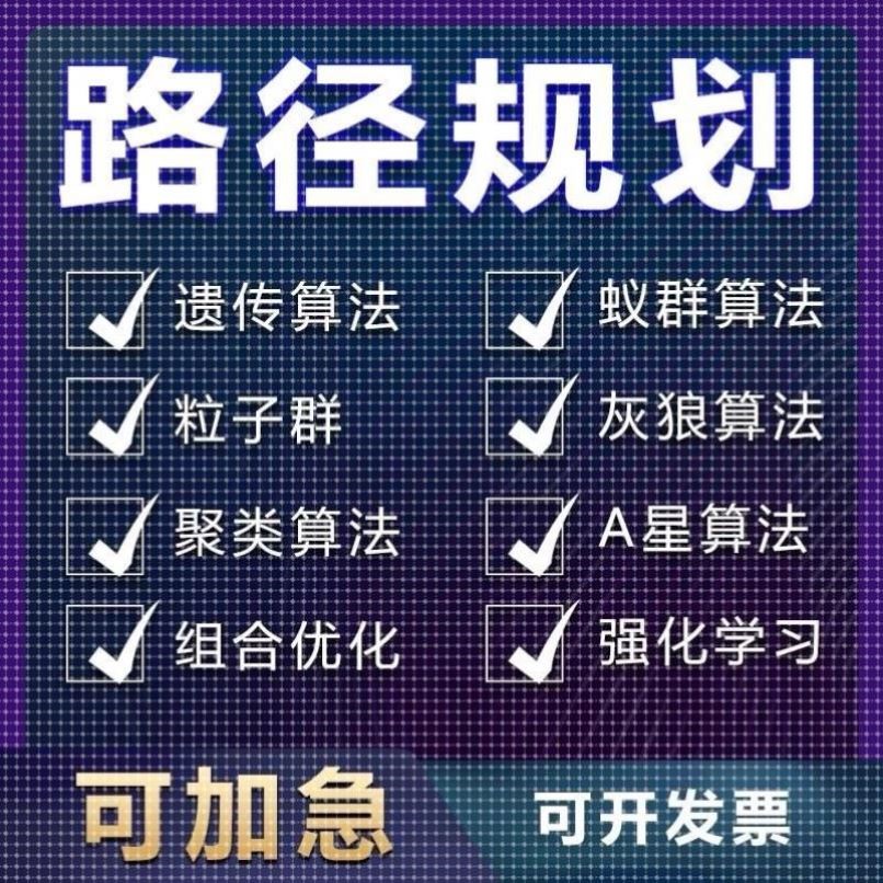 matlab路径规划遗传蚁群粒子群算法代做Python强化学习多目标优化