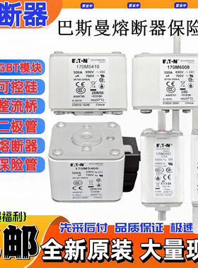 巴斯曼熔断器保险丝170M1320 170M5808 170M4624 170M3467 5460询
