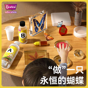 德国onshine真实植物昆虫标本树脂虫子琥珀蝴蝶制作儿童观察科学