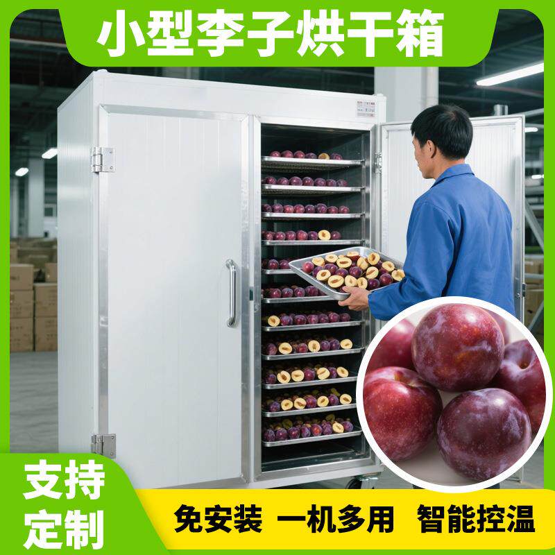 跃维李子烘干机 小型电加热李子干水果干烘干箱 果肉烘干机全自动