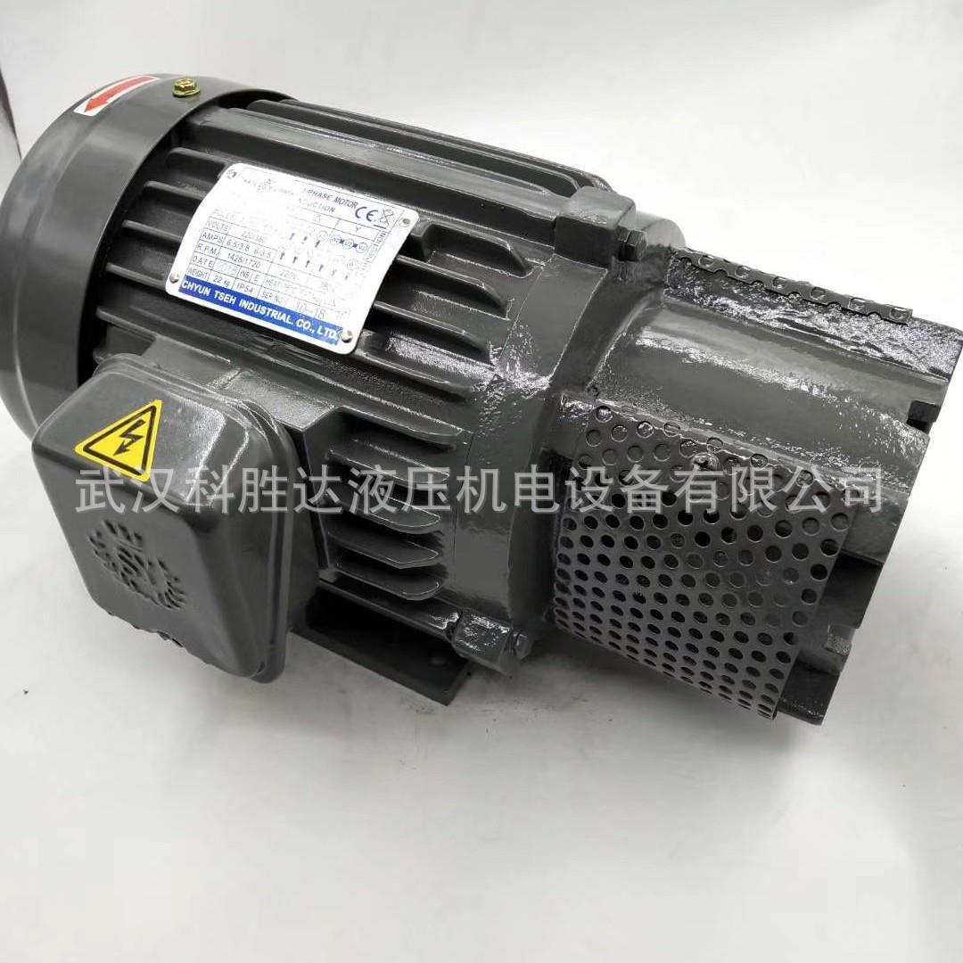 群策长咀型 C10-43B0油压电机配油泵马达7.5KW卧式安装2HP-4P
