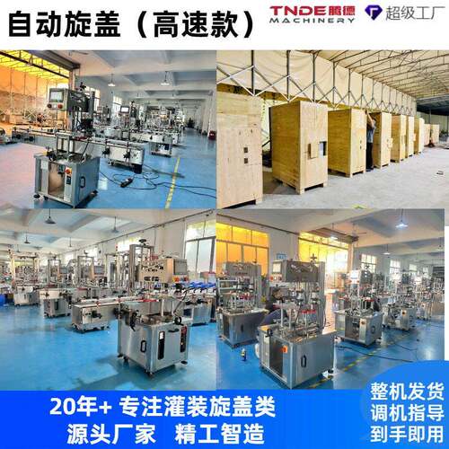 广州速异形全盖锁盖机化品妆塑盖料MAGA-102拧机伺服自动旋盖机