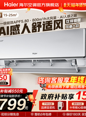 【新品首发】海尔空调舒适风Pro家用1.5匹新一级挂机E2官方旗舰店