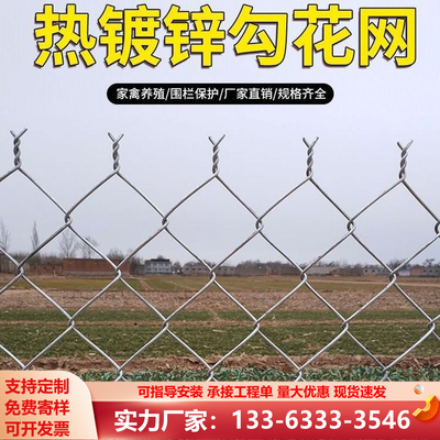 热镀锌铁丝网勾花网隔离网