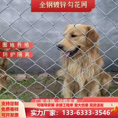钢丝网铁丝网果园勾花网