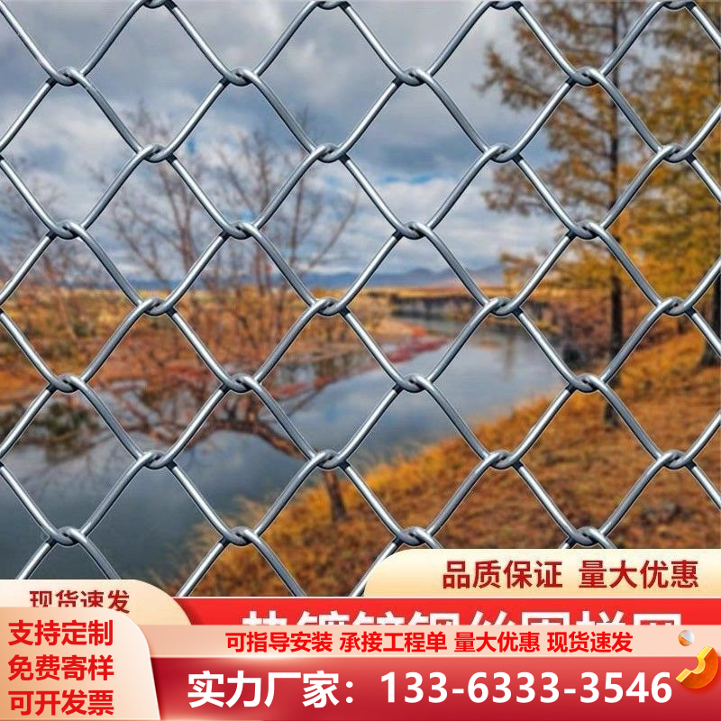 热镀锌养鸡网养殖牛羊果园勾花网钢丝网防锈养鸡家用加粗网网格网
