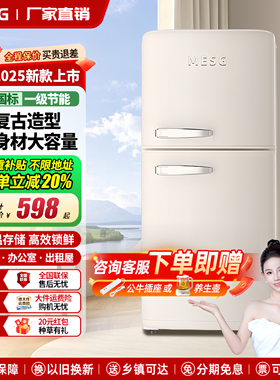 德国MESG复古小冰箱单门双门冷藏冷冻小户型家用出租房办公室静音