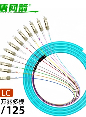 大唐网箭 OM3万兆50/125LC FC SC ST12芯束状尾纤蓝色万兆多模OM3光纤跳线束状尾纤熔接5G机房尾纤