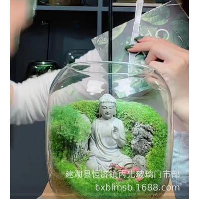 INS玻璃透明水培容器鱼缸微景观玻璃瓶苔藓植物造景生态瓶微型