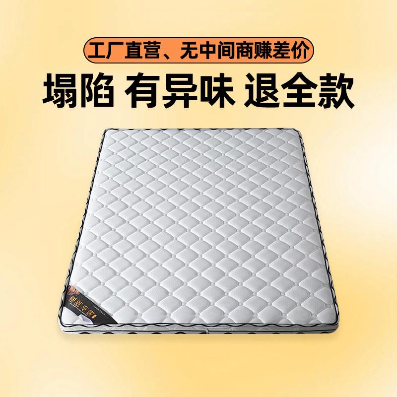 天然椰棕床垫家用棕垫出租房专用薄垫榻榻米硬垫宿舍硬垫子可折叠