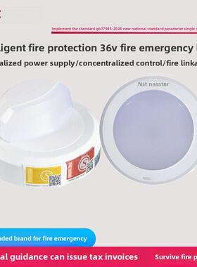 Nst a型智能24V36V消防应急照明集中供电壁挂式应急照明