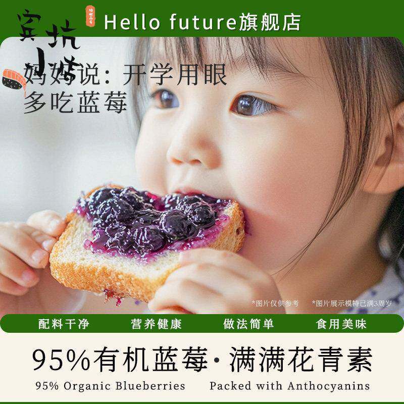 新鲜有机蓝莓果酱宝宝涂抹面包酱儿童添加无烘焙脂纯0送婴儿食谱