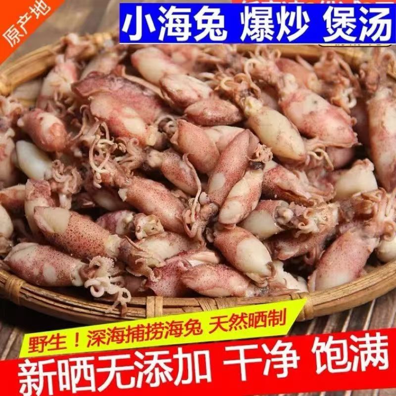 淡干海兔干500g野生海兔子带籽笔管鱼野生鱿鱼仔墨鱼仔海产干货