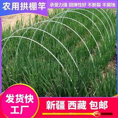 新疆西藏包邮小拱棚支架菜棚花棚保温育苗棚防晒网支架二棚支架玻