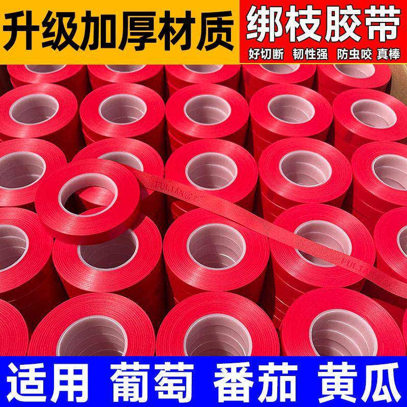 绑枝机胶带西红柿番茄葡萄蔓藤夹梆枝神器结束带帮枝器钉子配件