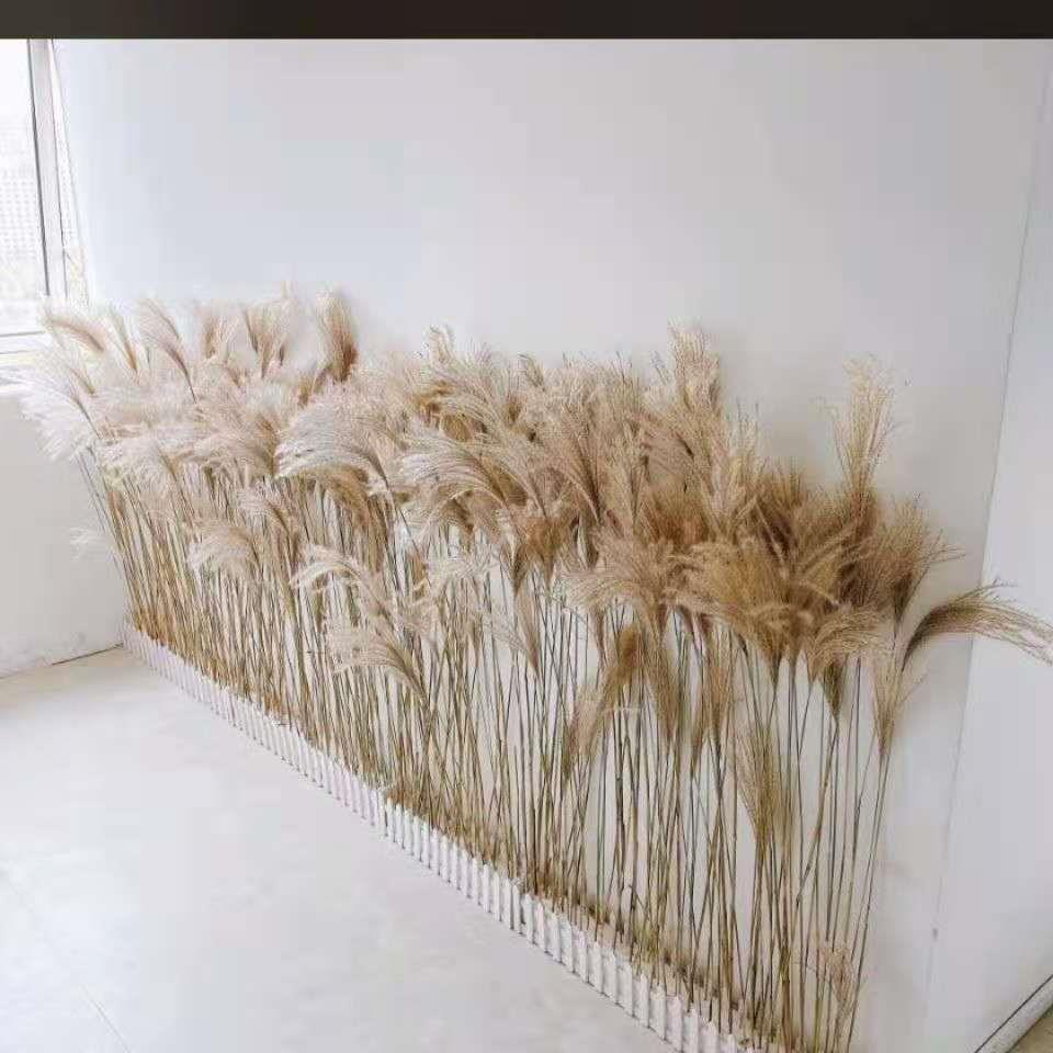 虎皮牡丹鹦鹉磨嘴器电动磨牙磨爪器鸟指甲剪宠物专用磨爪神器用品