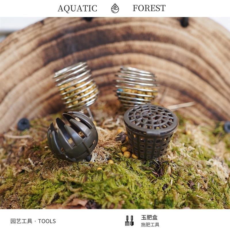 不锈钢塑料玉肥盒 鹿角蕨盆景专用 日本肥料盒 施肥神器