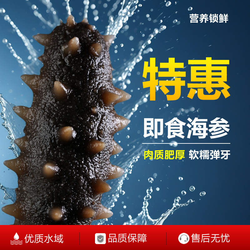 山东烟台海参渤海湾即食海参滋补鲜食冷冻非淡干大连辽参刺参深海