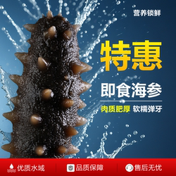 山东烟台海参渤海湾即食海参滋补鲜食冷冻非淡干大连辽参刺参深海