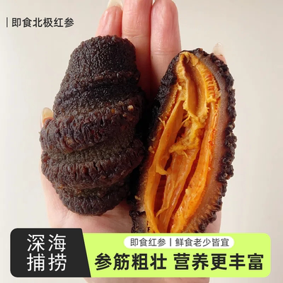野生冰岛北极红参即食海参红极参非大连淡干刺参加拿大俄罗斯深海