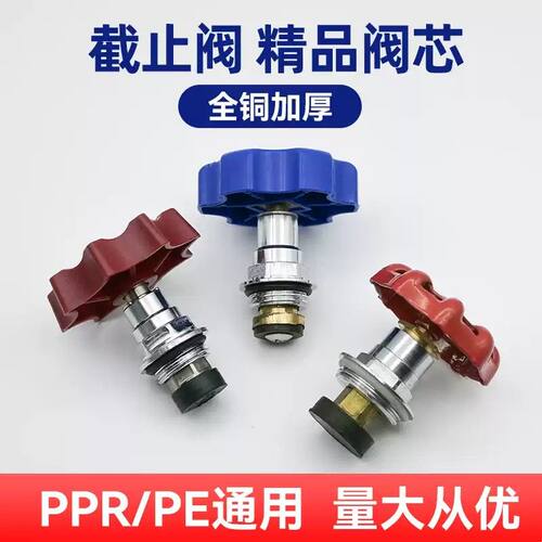 ppr截止阀阀芯全铜加厚pe升降式水阀开关闸阀4分20 25 32 40 50