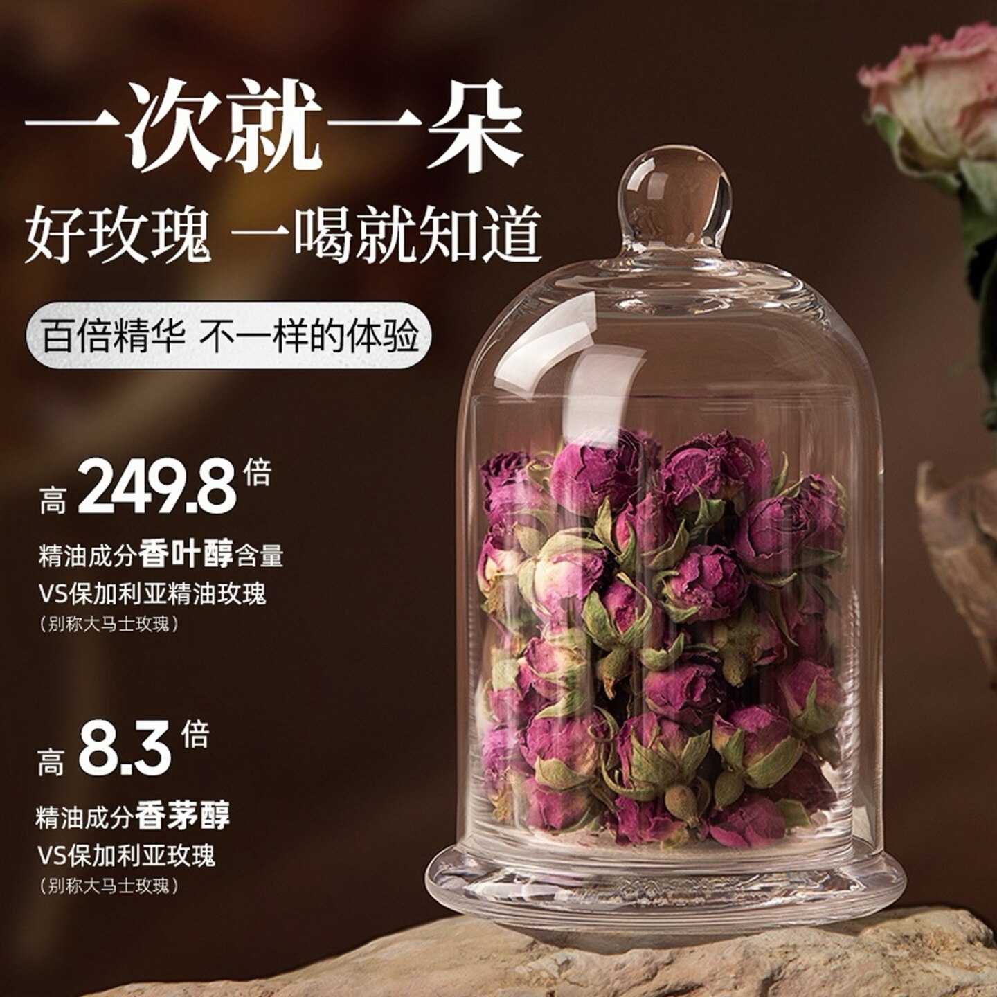 欲放精华玫瑰沙漠花茶无硫和田特级养生重瓣新疆于田大朵南疆礼盒