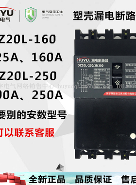 环宇漏电断路器 漏保开关漏电保护器DZ20L-160 250 3N300 200 250