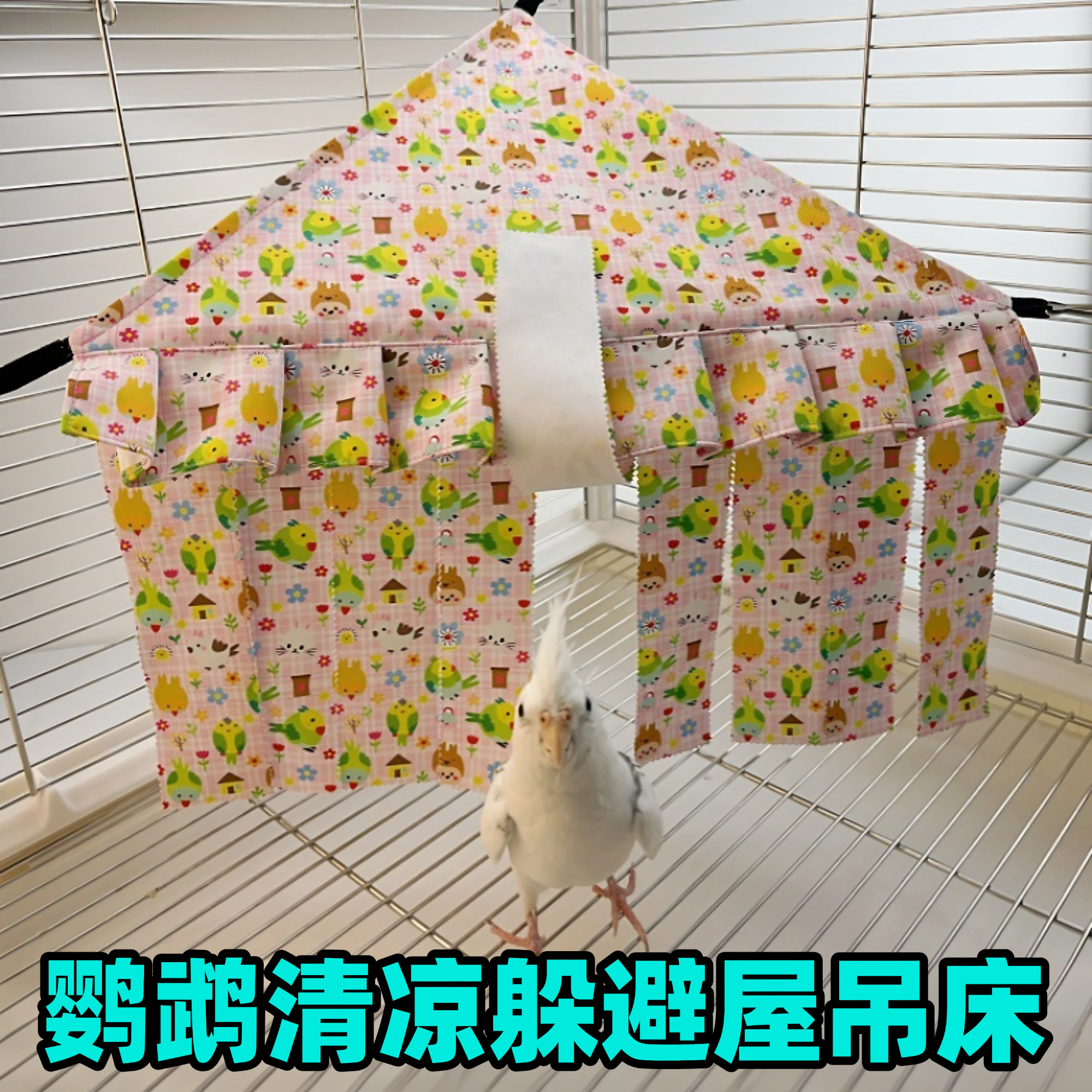 鹦鹉夏季清凉躲避屋鸟窝