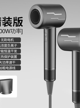 RUI LAI YA小巧大功率高速吹风机家用负离子护发速干米音电吹风筒