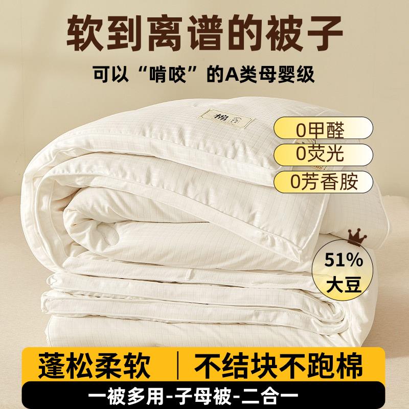 (顺丰包邮)A类原棉51%大豆蛋白纤维被单被子母被芯春秋被冬被