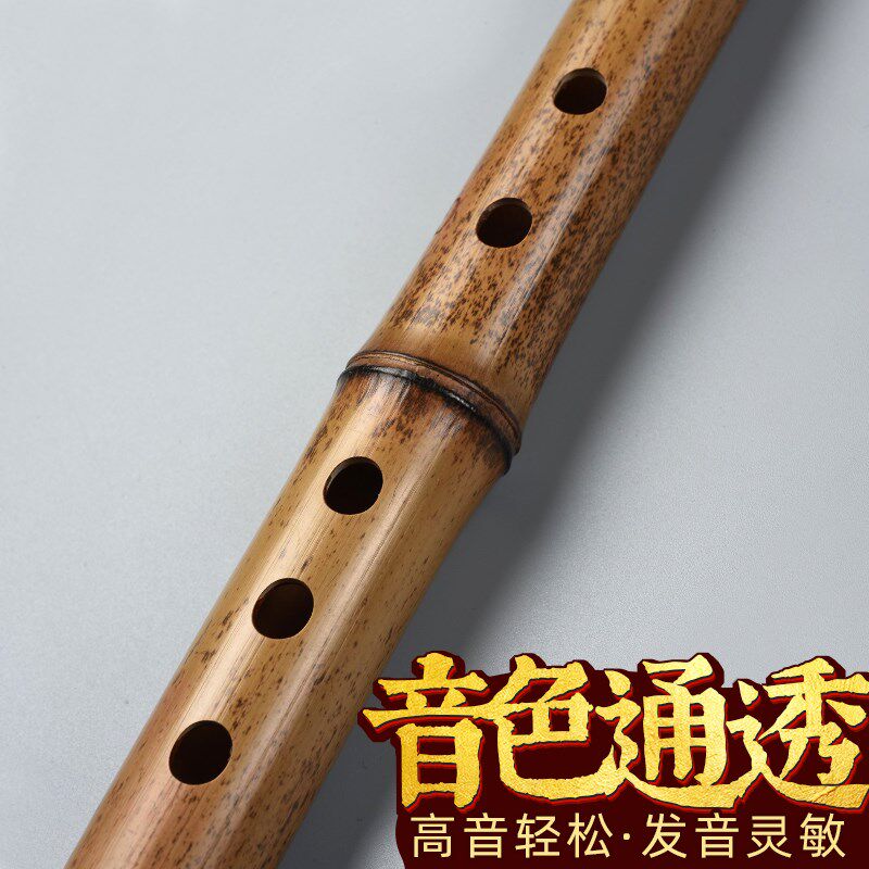 古风素箫高档专业演奏紫竹萧乐器六八孔洞箫初学萧笛g调f吹箫长潇