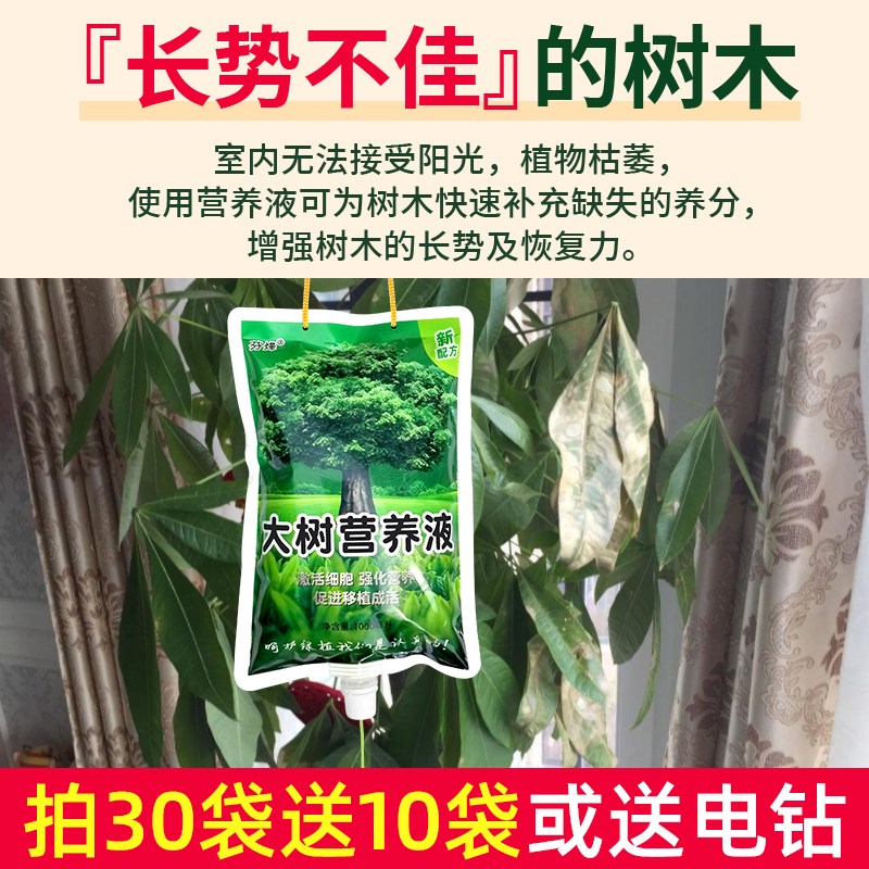 树木营养液吊针液大树吊针袋果树桂花树移栽栽树生根输液袋通用型