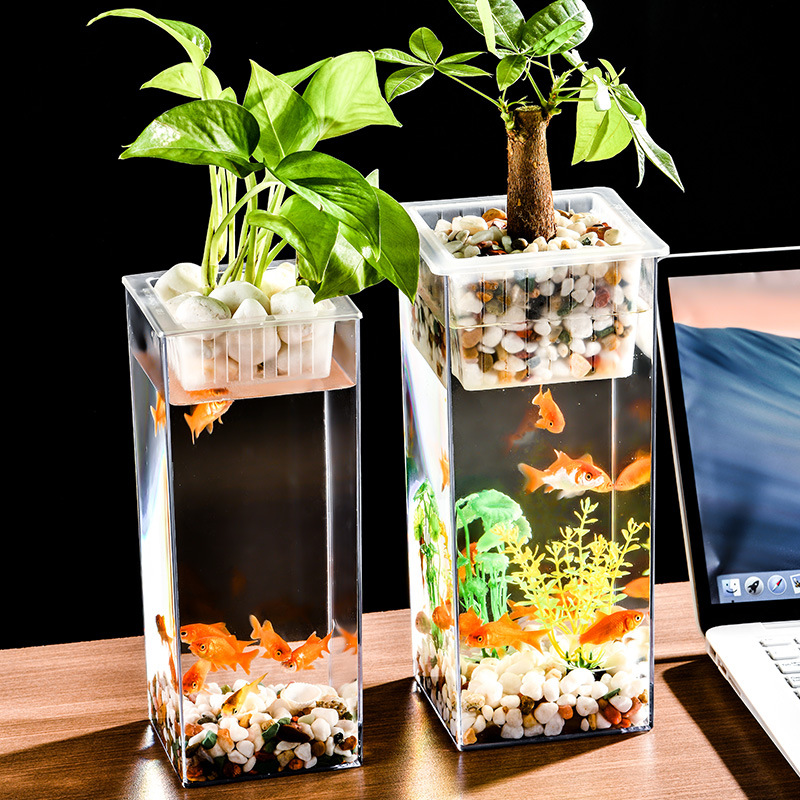 水培花盆小鱼缸微景观生态缸