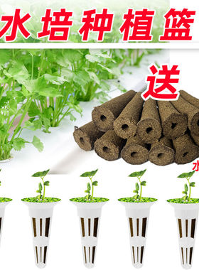 无土栽培种植基质套装育苗块扦插定植篮阳台室内水培泥炭碳棉组合