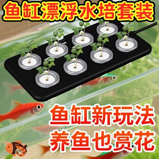 鱼缸漂浮水培定植篮壁挂吸盘式绿植造景固定篮家用水培漂浮种植板
