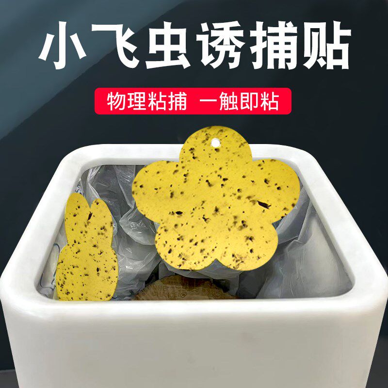 垃圾桶飞虫贴黄板双面粘蚊虫板诱蚊虫板纸贴灭小飞虫克星室内家用