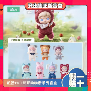 正版TNT大表姐DORA茸茸动物所系列盲盒手办搪胶毛绒挂件女生礼物