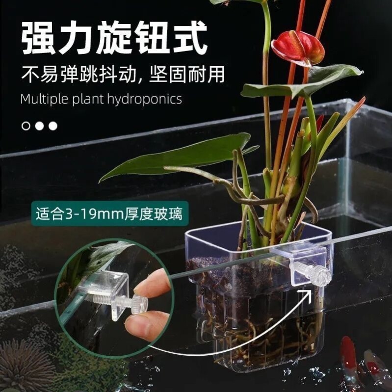 水培植物篮鱼缸家用水草种植杯壁挂式挺水植物定植篮鱼缸造景装饰